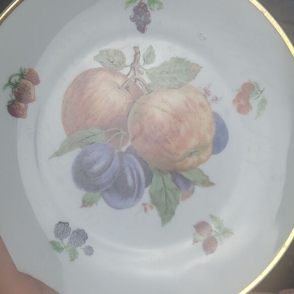 West German Action Industries Bavarian China Plate - Picture 5 of 6